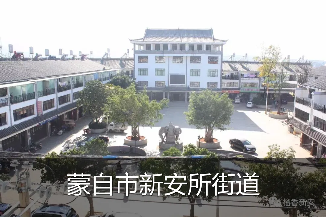 蒙自市新安所街道