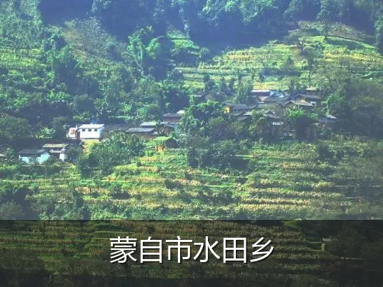蒙自市水田乡